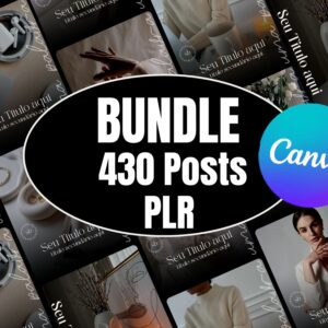 Bundle 430 Posts | PLR & MRR